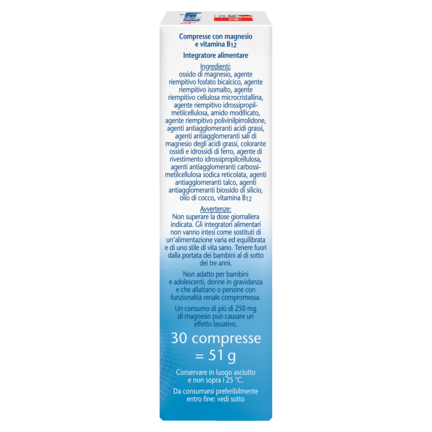 Magnesio 500 + B12
