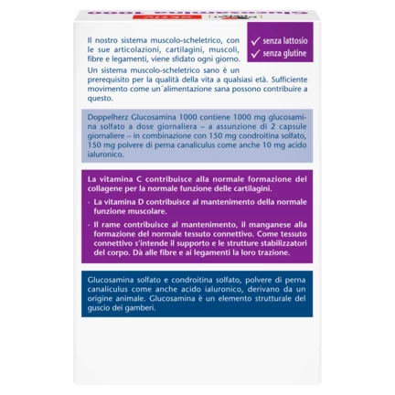 Doppelherz aktiv Glucosamina 1000 Vista posteriore