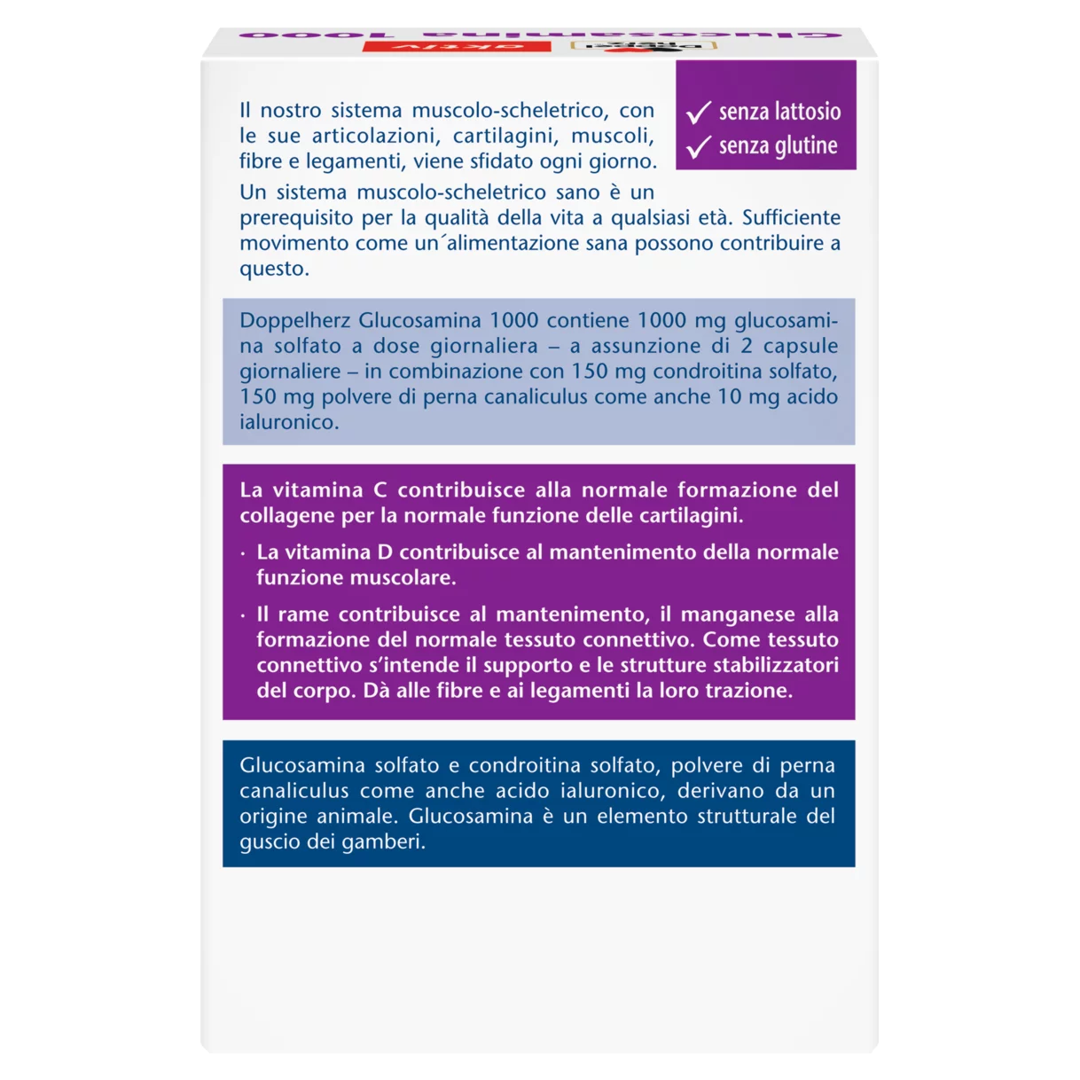 Doppelherz aktiv Glucosamina 1000 Vista posteriore