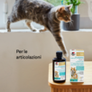 Olio articolazioni omega-3 per gatti e cani