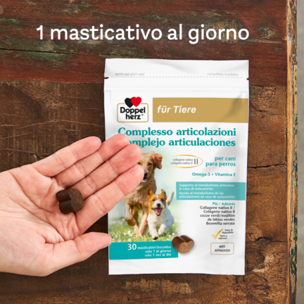 Complesso articolazioni per cani