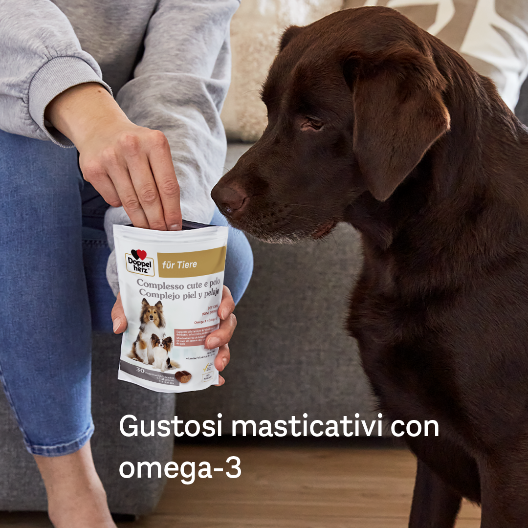 Complesso cute e pelo per cani